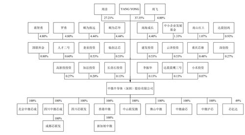 中微半導 背靠明星機構，集成電路設計領域的科創板“芯”力量