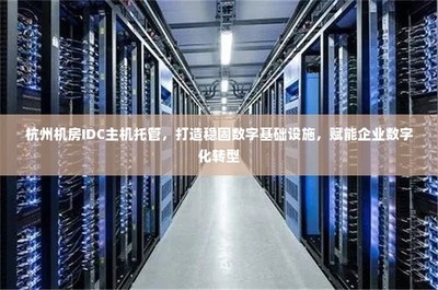 杭州IDC主機托管 穩固數字基礎設施，引領企業數字化轉型的堅實基石